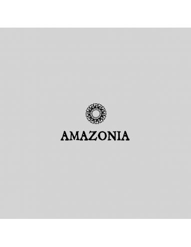 Pendentif Amazonia "Lokoyo" Turquoise 0,02ct et Argent Massif